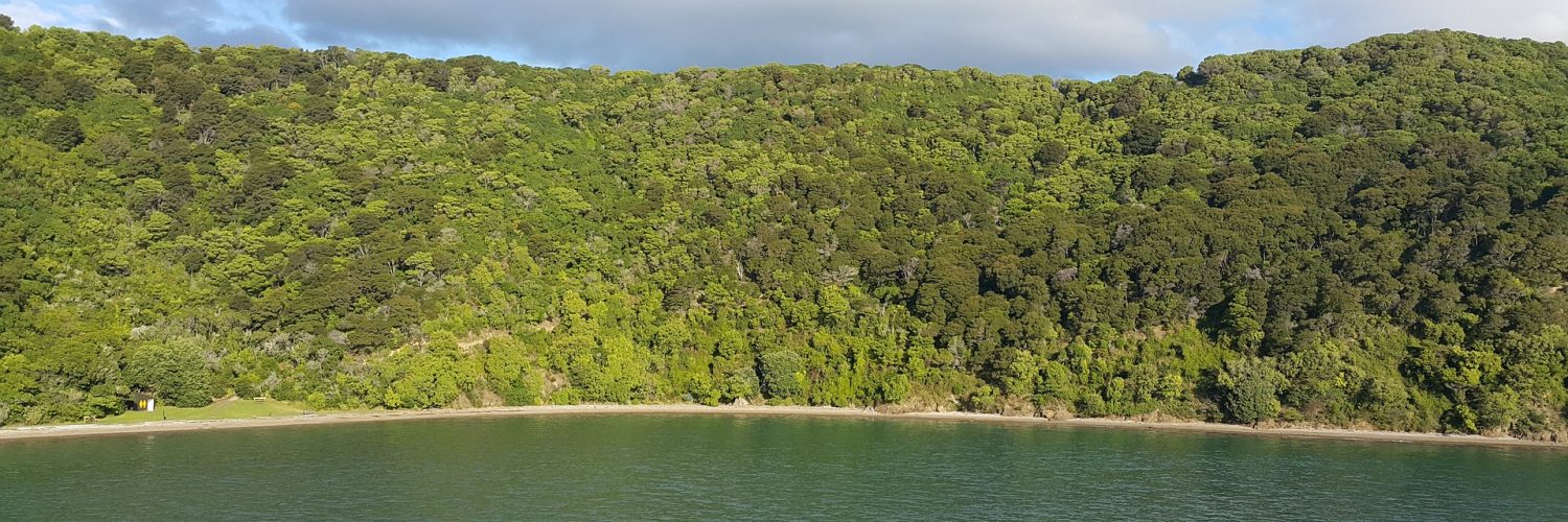 Marlborough Sounds