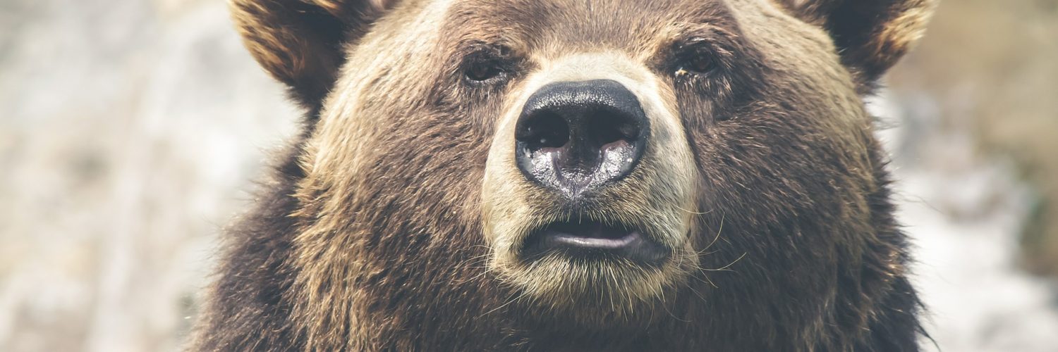 dieren in canada