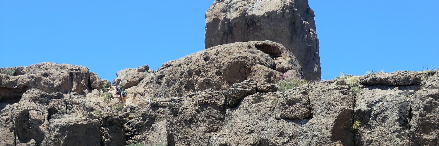 roque nublo